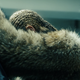 Illustration for article titled Lemonade Is Beyoncés Body and Blood